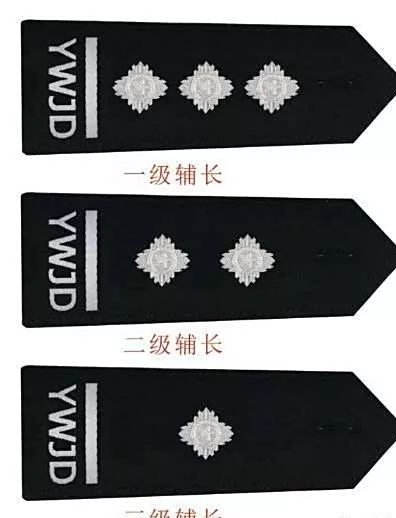 十款辅警警衔,你喜欢哪一款呢?