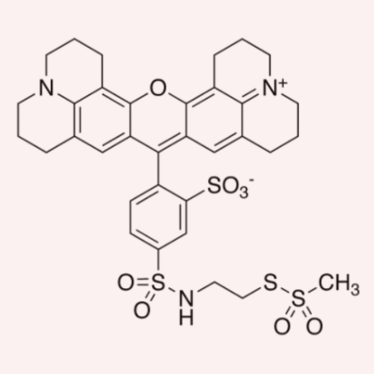 texas red-mtsea,386229-76-1荧光标记的巯基活性试剂