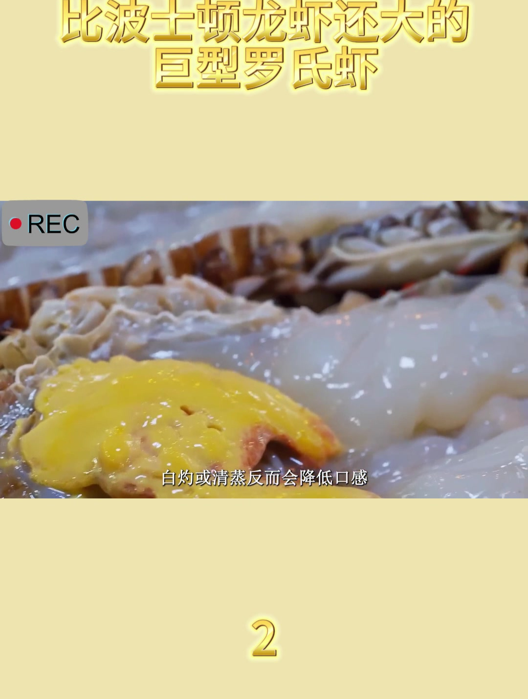 比波士顿龙虾还大的巨型罗氏虾2