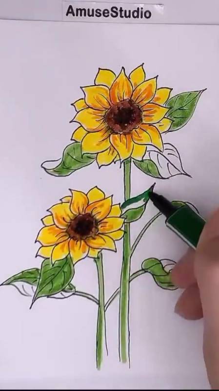 向日葵,临摹练习马克笔,水彩笔-度小视
