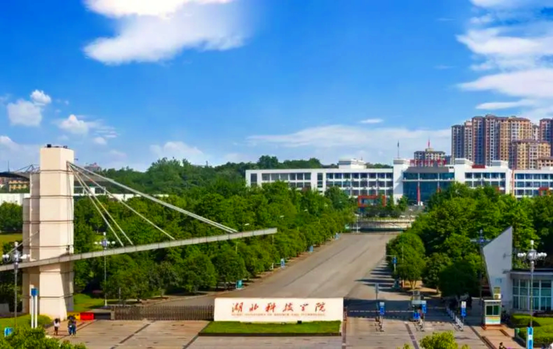 同时纳入了大理大理工业学校,云南广播电视大学大理分校"的基