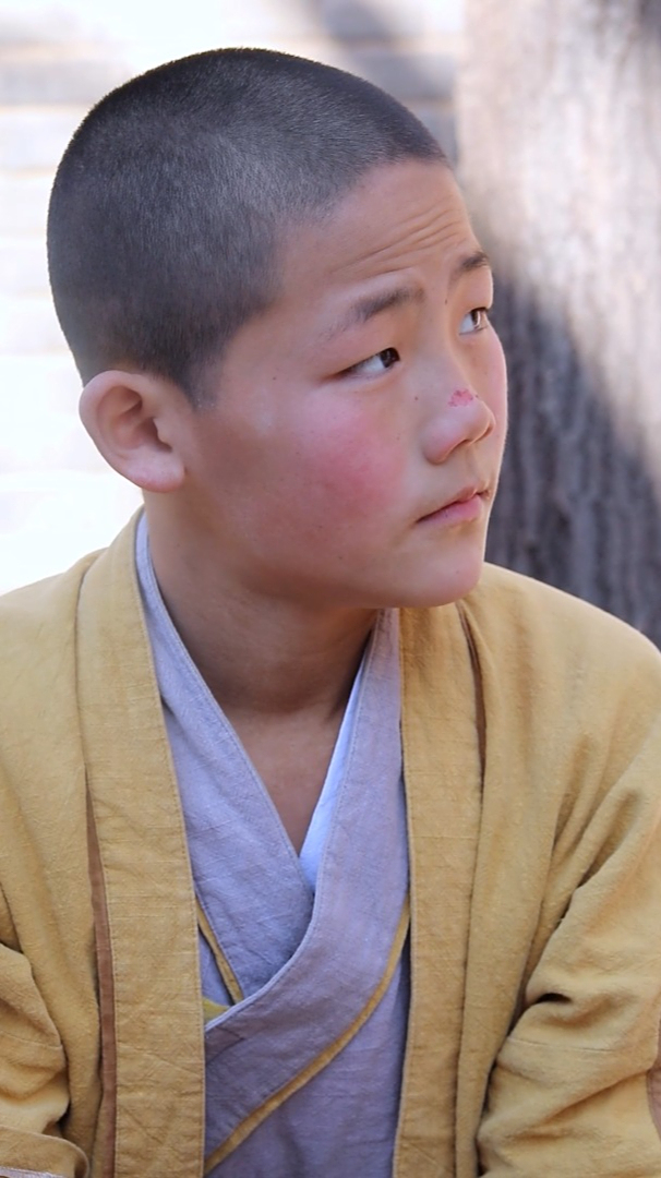 少林七小侠丨人如果没有梦想,和咸鱼有什么区别