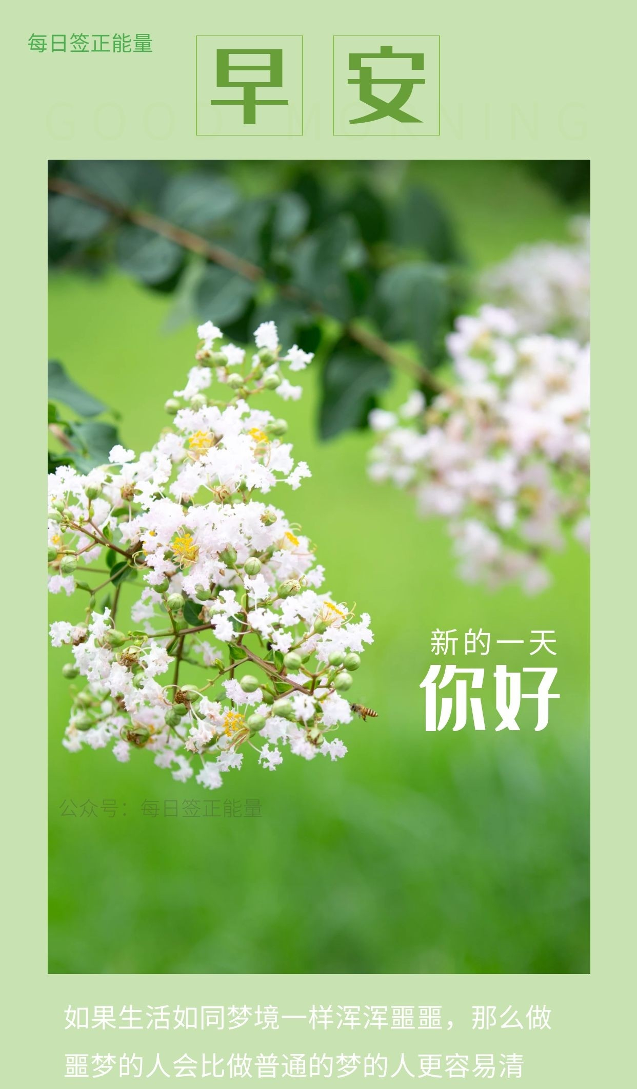 「早安微语」读点积极向上的短句唯美的早安图片,开始美好的一天