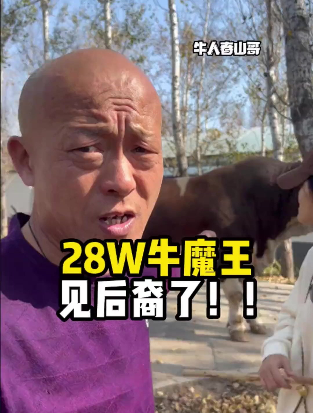 28w的种公牛魔王的后裔长啥样?跟我去看看!