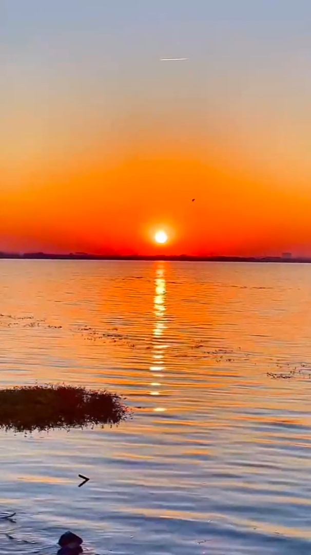 治愈风景欣赏时光清浅静静地来淡淡地去无声无息
