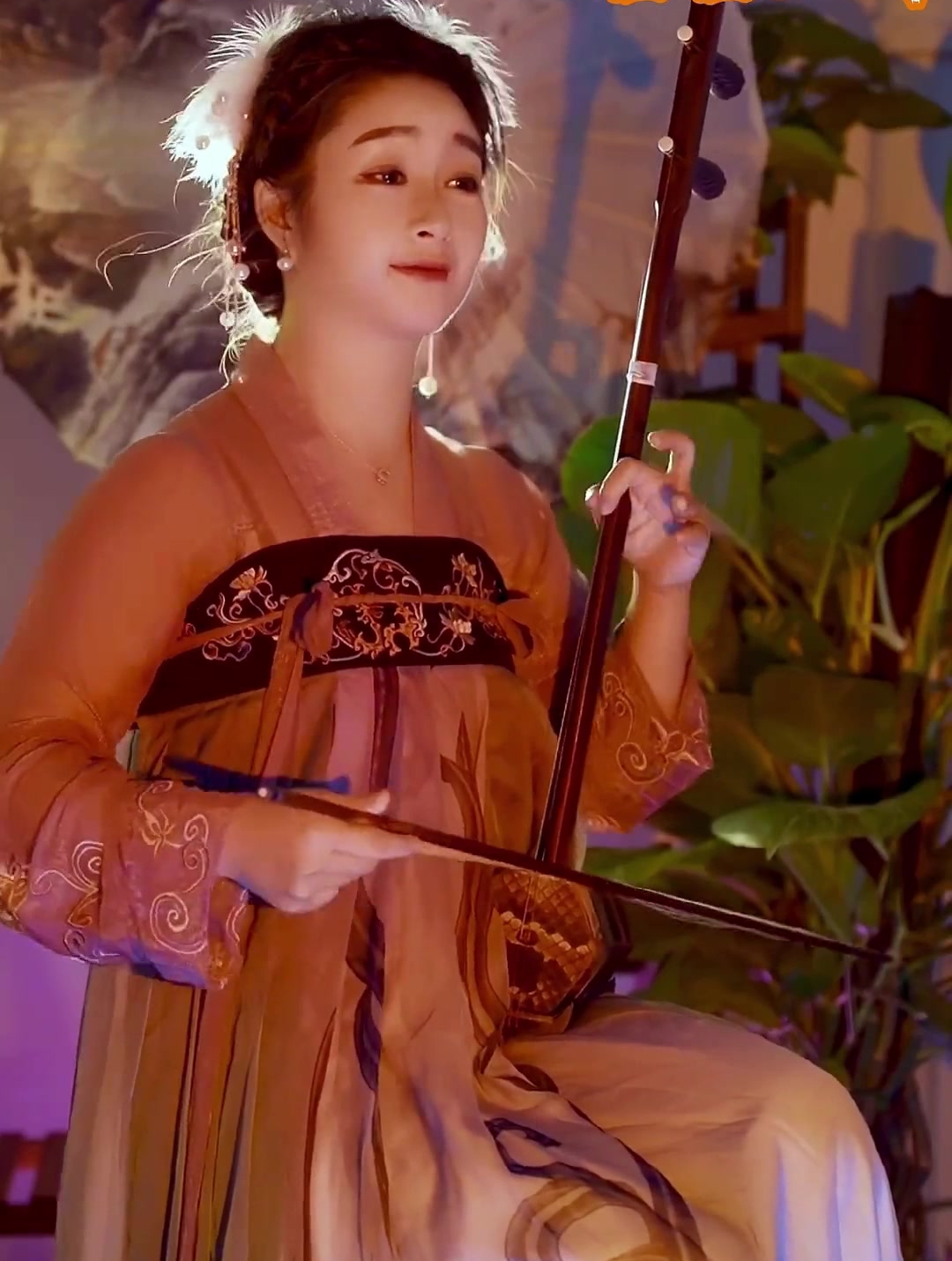 二胡演奏:《葬花吟》