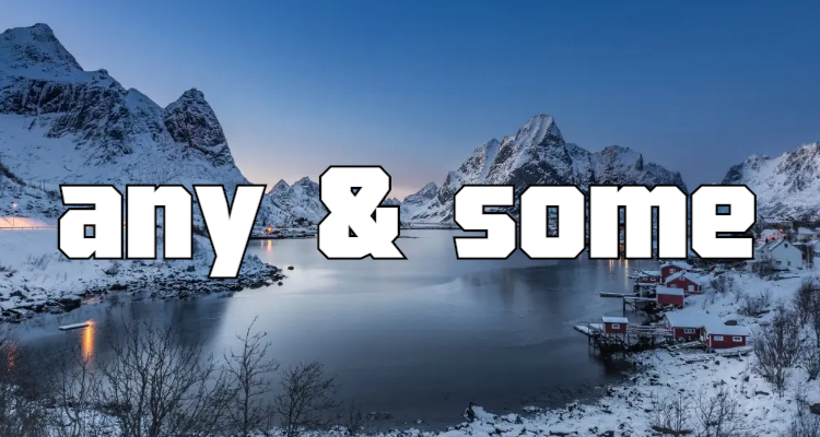 小学any和some的用法区别