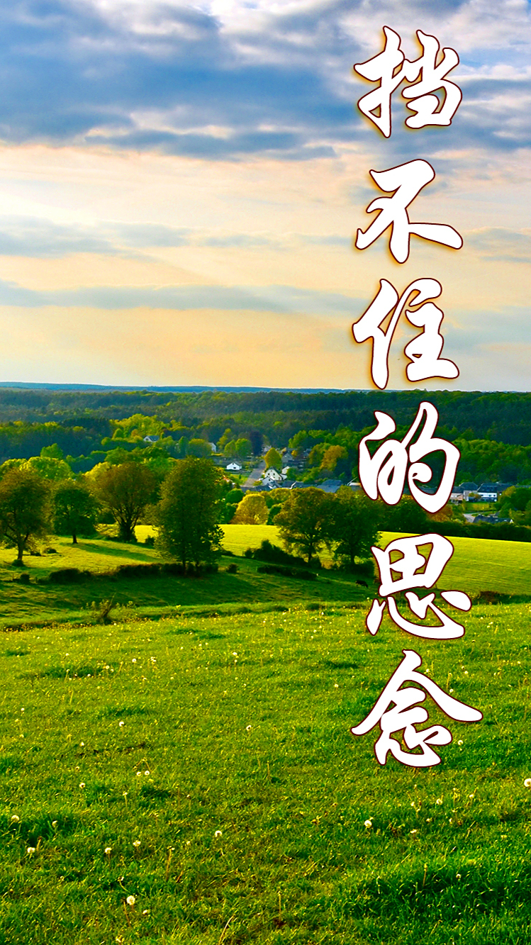 深情婉转《挡不住的思念》,萨克斯旋律动人,如泣如诉回味无穷!