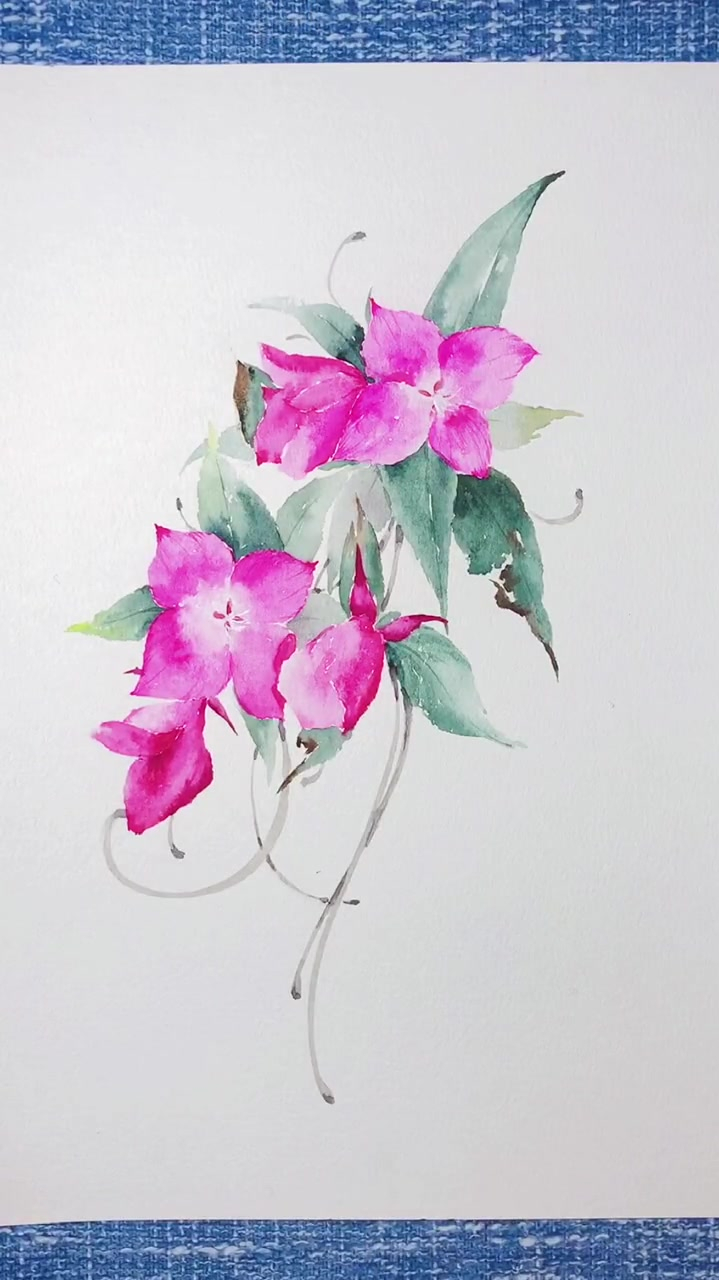 水彩花卉,小野花一幅