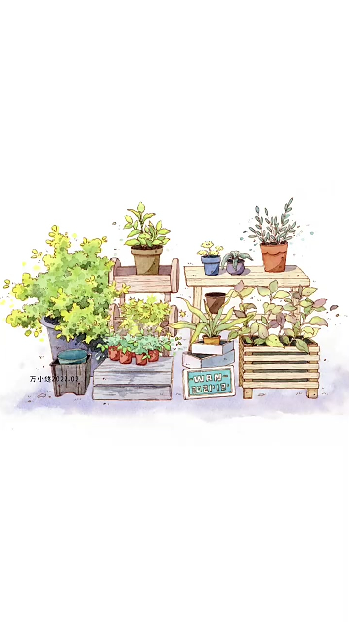 钢笔淡彩|盆栽绿植小景水彩上色过程