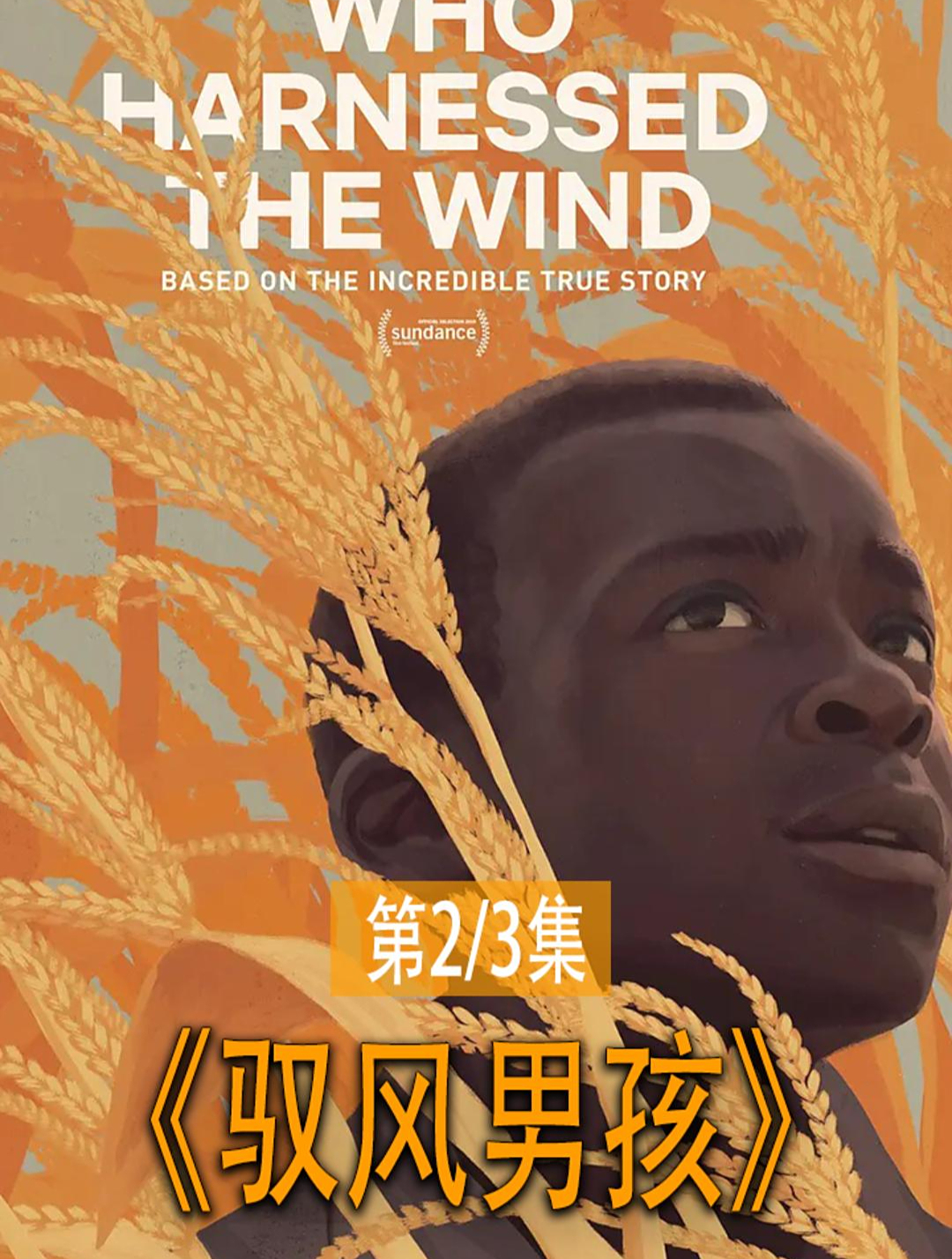 23:13岁天才少年,在绝境中解救村民于水火《驭风男孩》-度小视