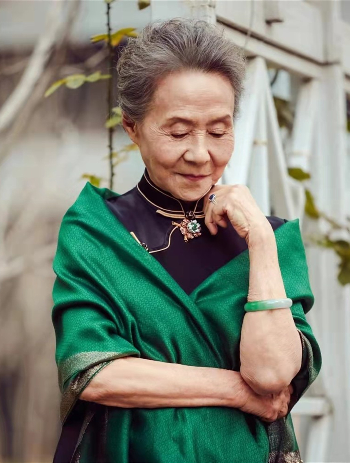 明星医美与自然老去的差距:刘晓庆面部僵硬,吴彦姝端庄典雅(3)-度小视