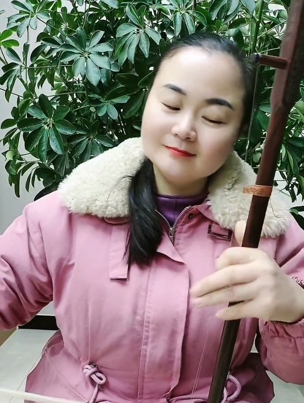 《故乡情》15弦,二胡演奏