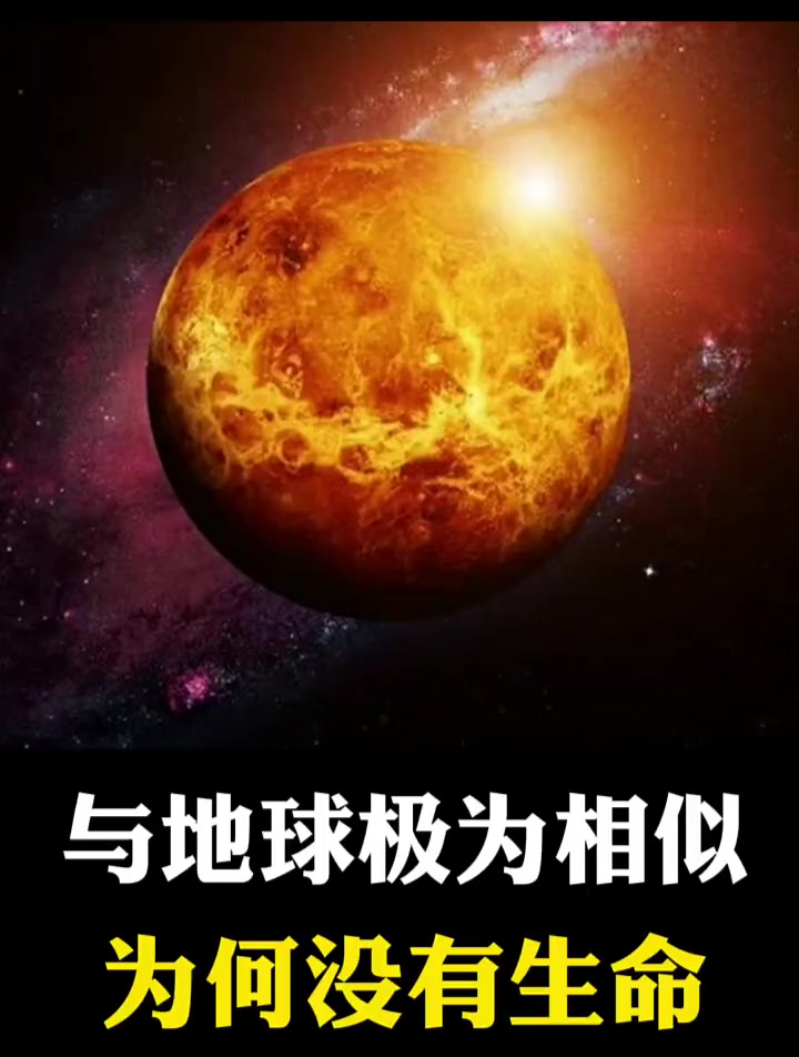 和地球最为相似的金星为何没有生命?
