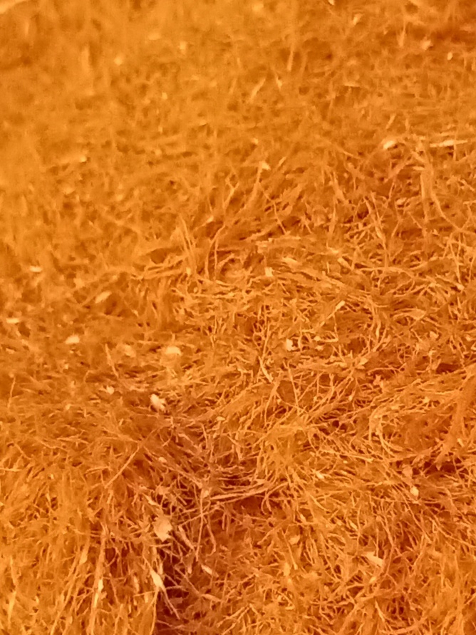 668_891竖版 竖屏