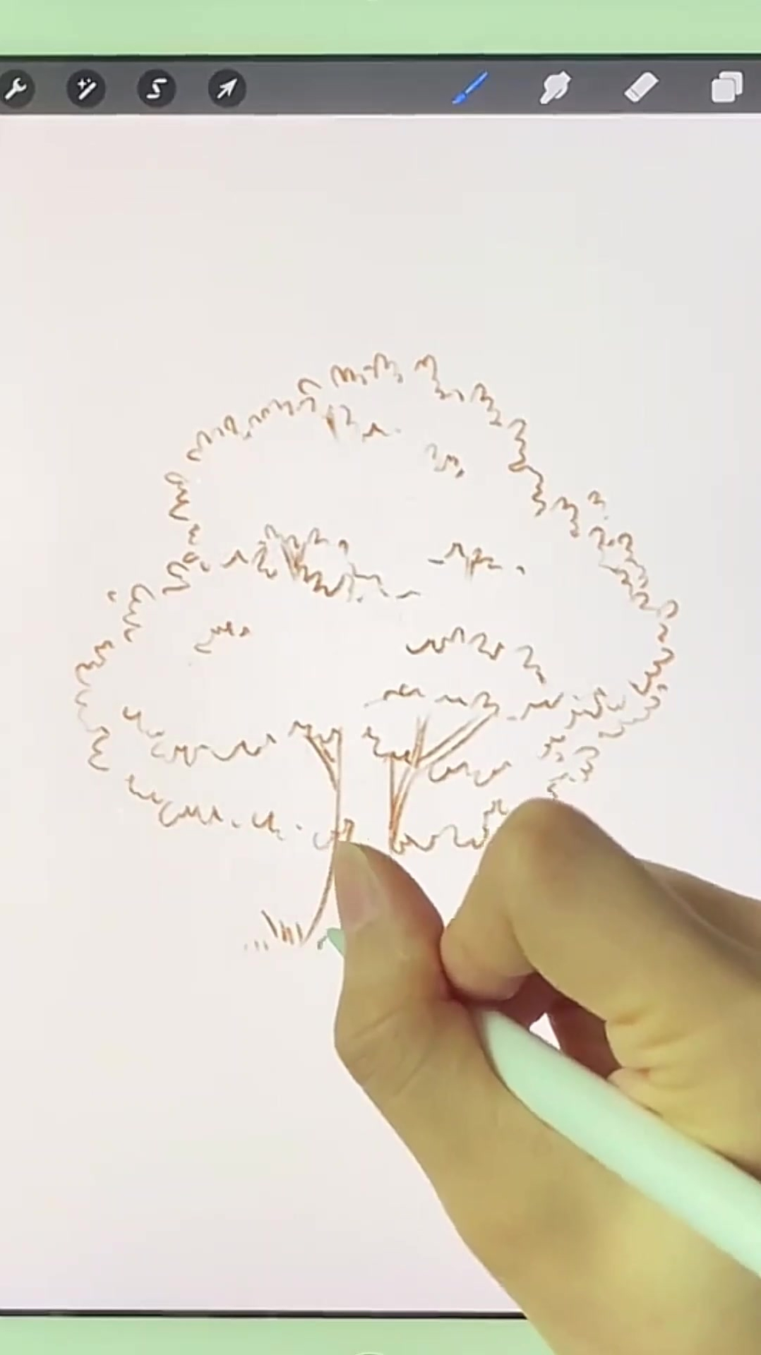 板绘插画教程一棵树的线稿