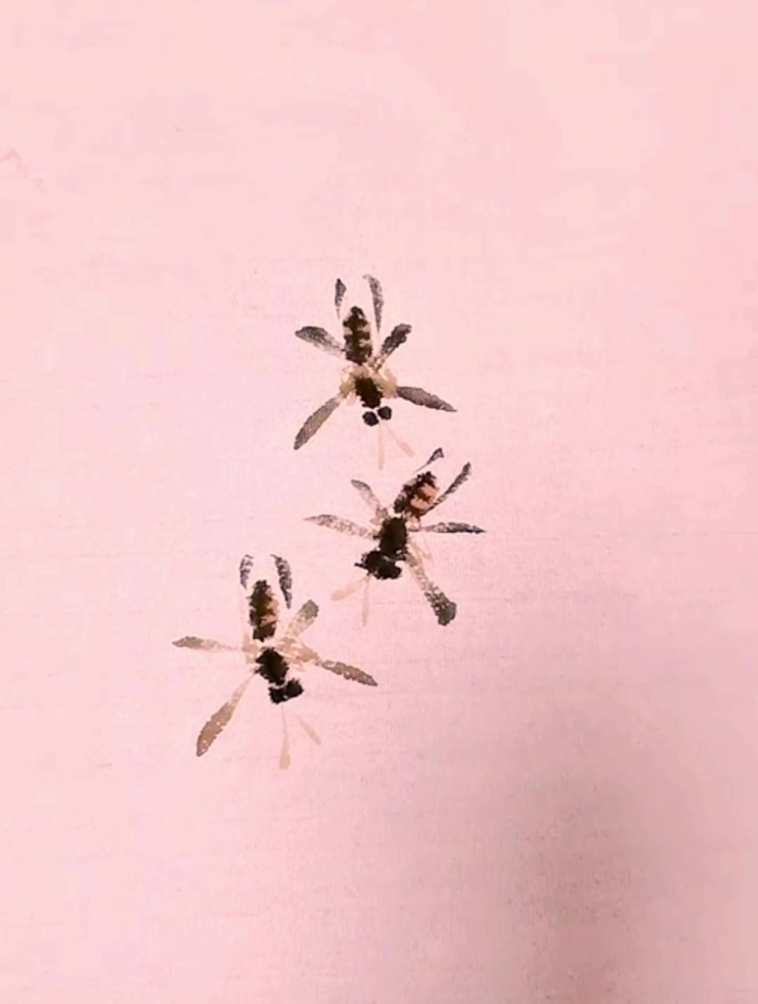 弘扬中国文化国画精髓教你画飞虫