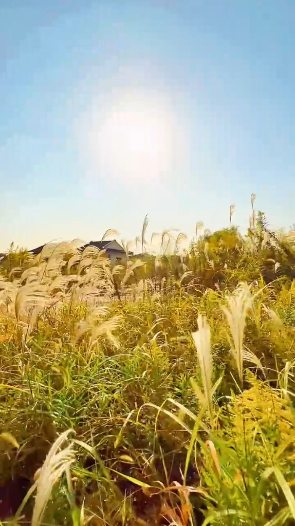 娱乐治愈风景:余生:愿你做自己的太阳,无需凭借谁