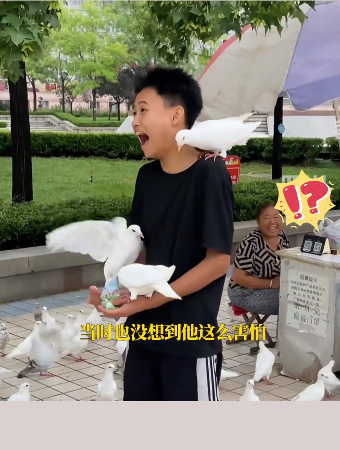 男子喂鸽子被吓出表情包,网友:每个细胞都在害怕