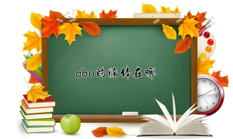 abo的腺体在哪