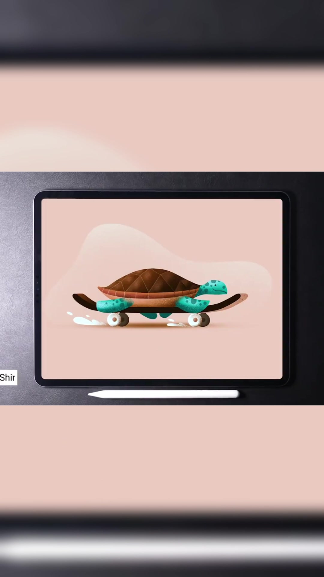 第二部分galshir作品滑冰乌龟笔刷扁平化笔刷