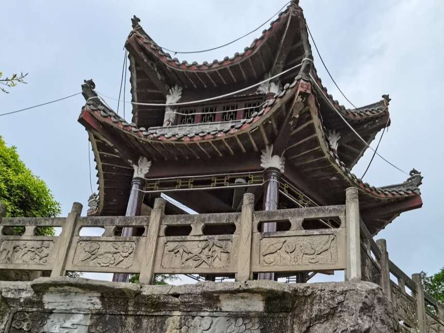 巴南红豆杉谷景区介绍