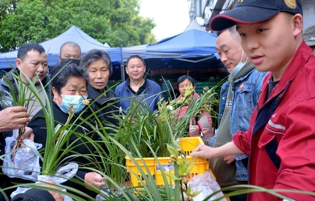 这本是相声大师侯宝林节目中的一句词,却也让大家看到了兰花市场的