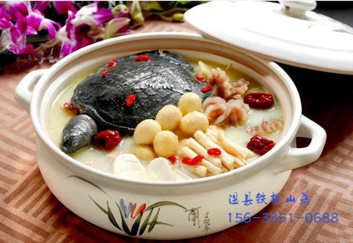 温贤仁:告诉你山药甲鱼汤怎么做更美,真的太香啦