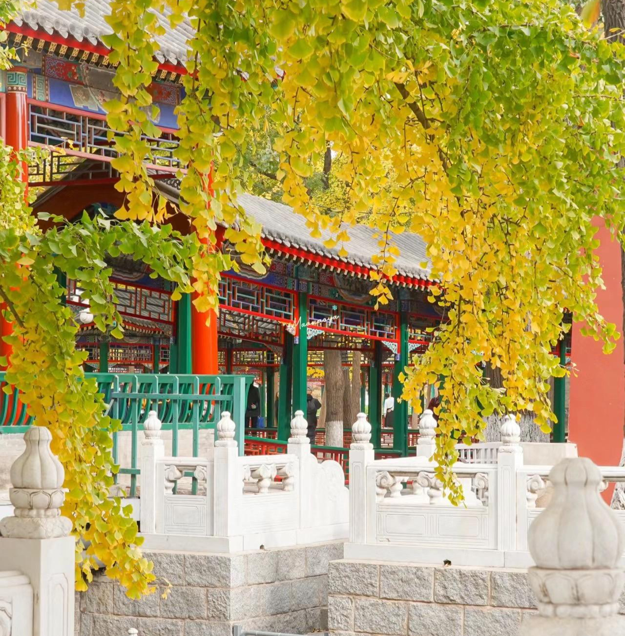 打卡必到!北京中山公园,是您赏秋的绝佳去处!