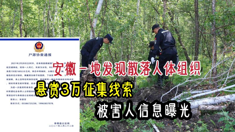 安徽一地发现散落人体组织,悬赏3万征集线索,被害人信息曝光