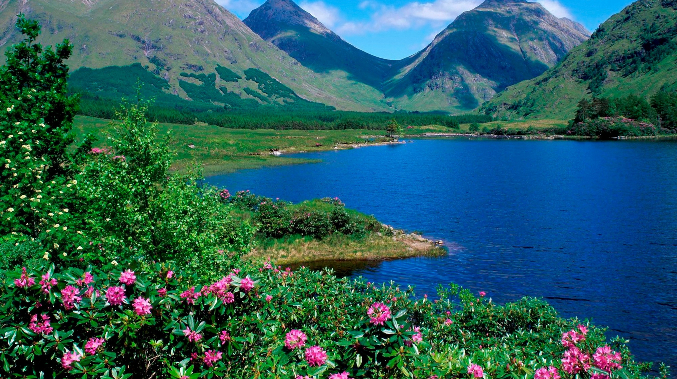 我们看见的山水,花草都是风景,你为什么风景而迷恋呢?