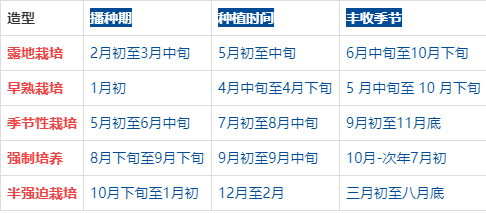 茄子种植方法和时间图片