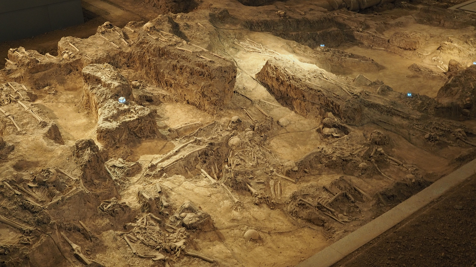 参观侵华日军南京大屠杀遇难同胞纪念馆:要记住历史,不记住仇恨