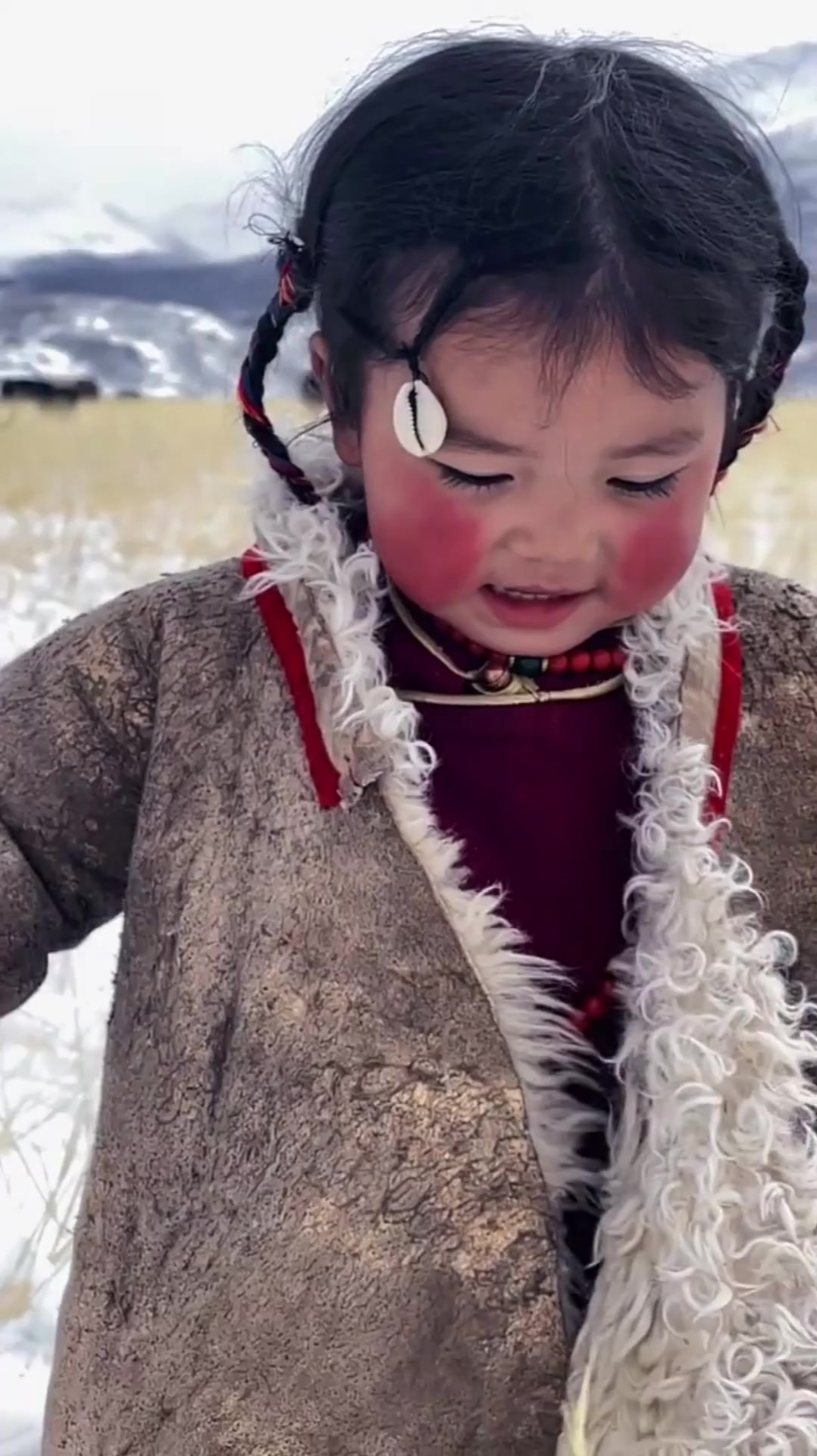最近这个藏族小姑娘火了,最纯洁无暇的眼神,最美丽不过的脸蛋