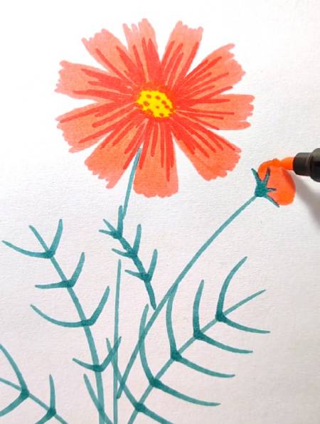 用马克笔画简单的花卉,简单好看-度小视