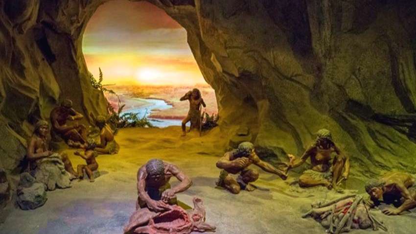 18000年前的山顶洞人,用其能力和智慧,揭示出了中国古人的伟大