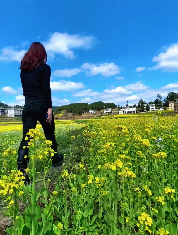 去踏青赏花一镜到底,唯美情绪人物小短片简单一个镜头