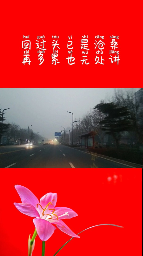 回过头已是沧桑再多累也无处讲