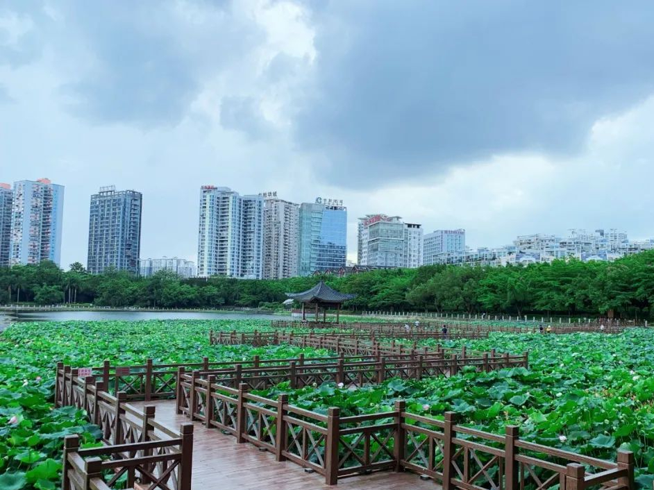 汉中南湖公园景点介绍图片