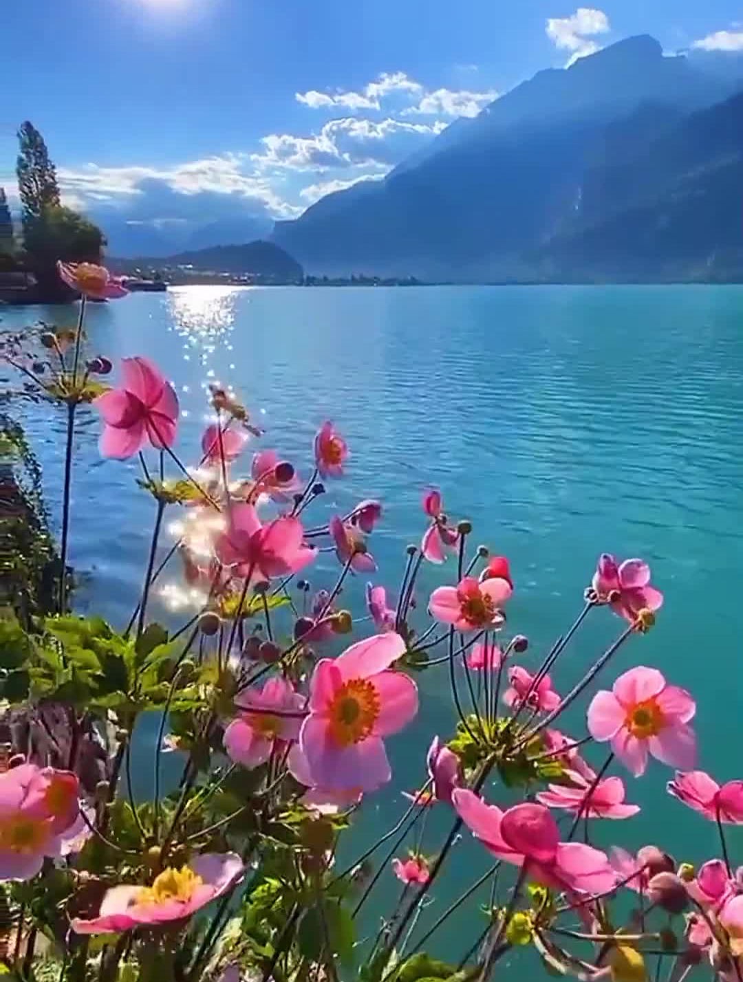 上善若水,天道酬勤 自然风景-度小视