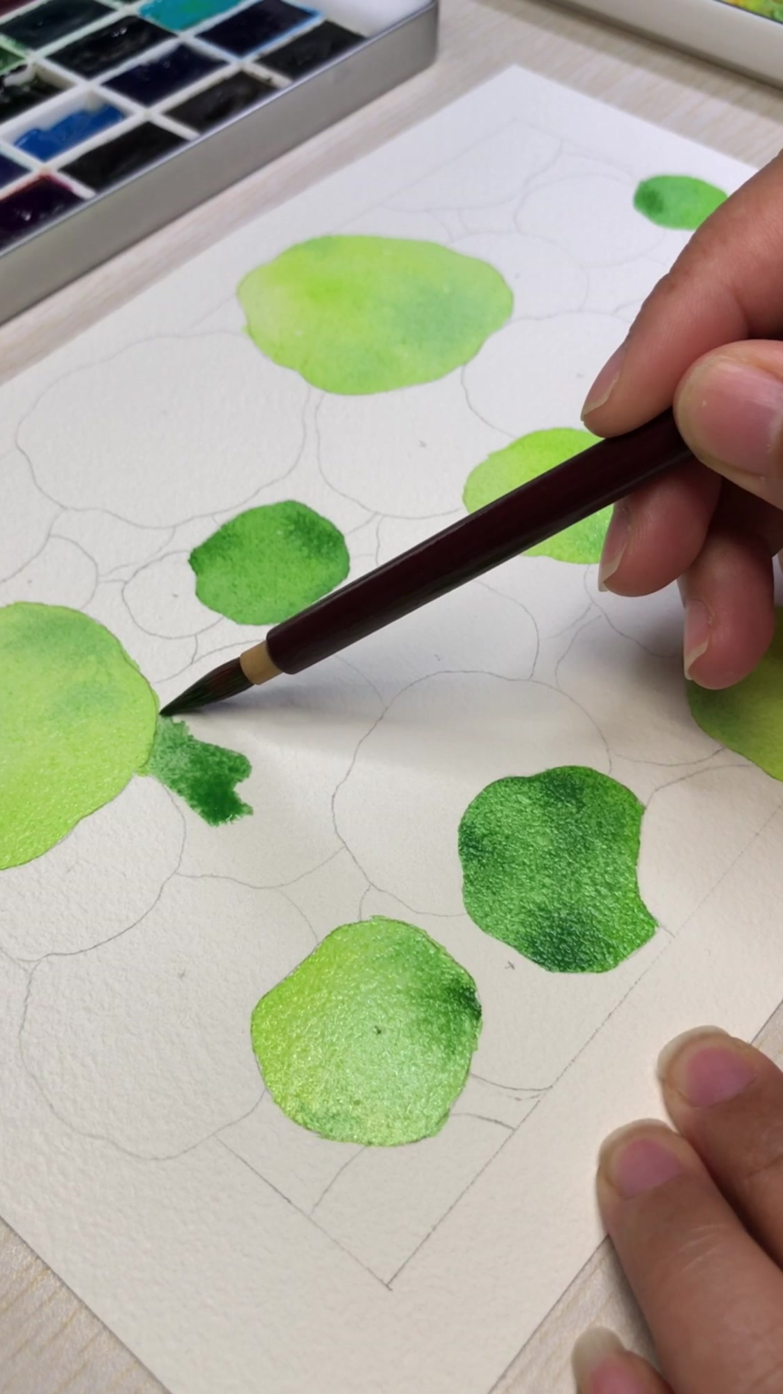 手绘水彩铜钱草,使用干画法,真的不难哦-度小视