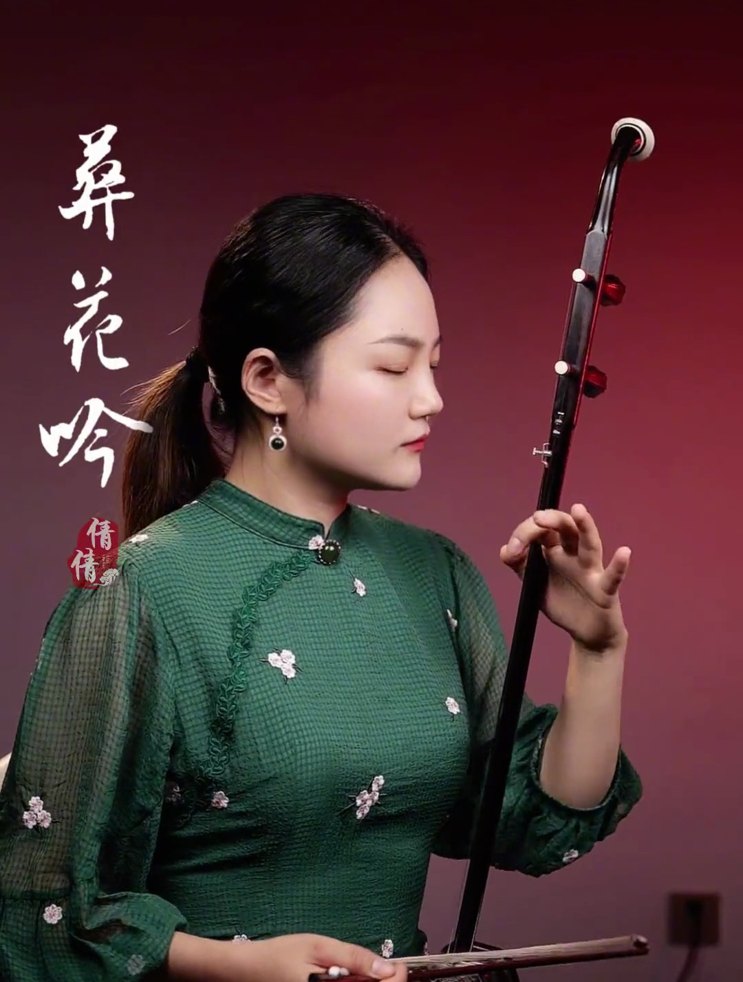 《葬花吟》千年红楼一场梦,红消香断有谁怜!二胡,演奏