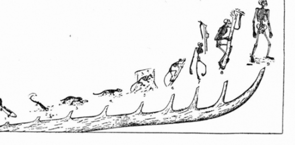 人类从鱼进化而来,化石揭示了从鱼到人的进化过程