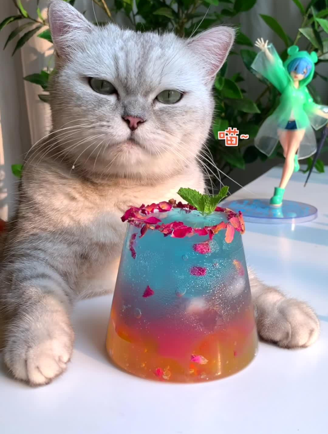 猫王:这杯饮料像火烧云吗?你觉得它取什么名字好?-度小视