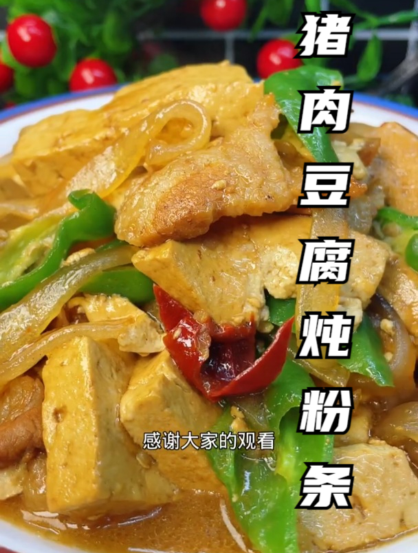 猪肉粉条炖豆腐图片