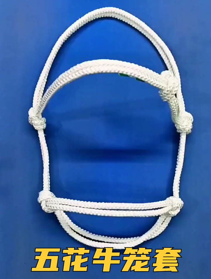 五花牛笼套,完整版视频教程来了