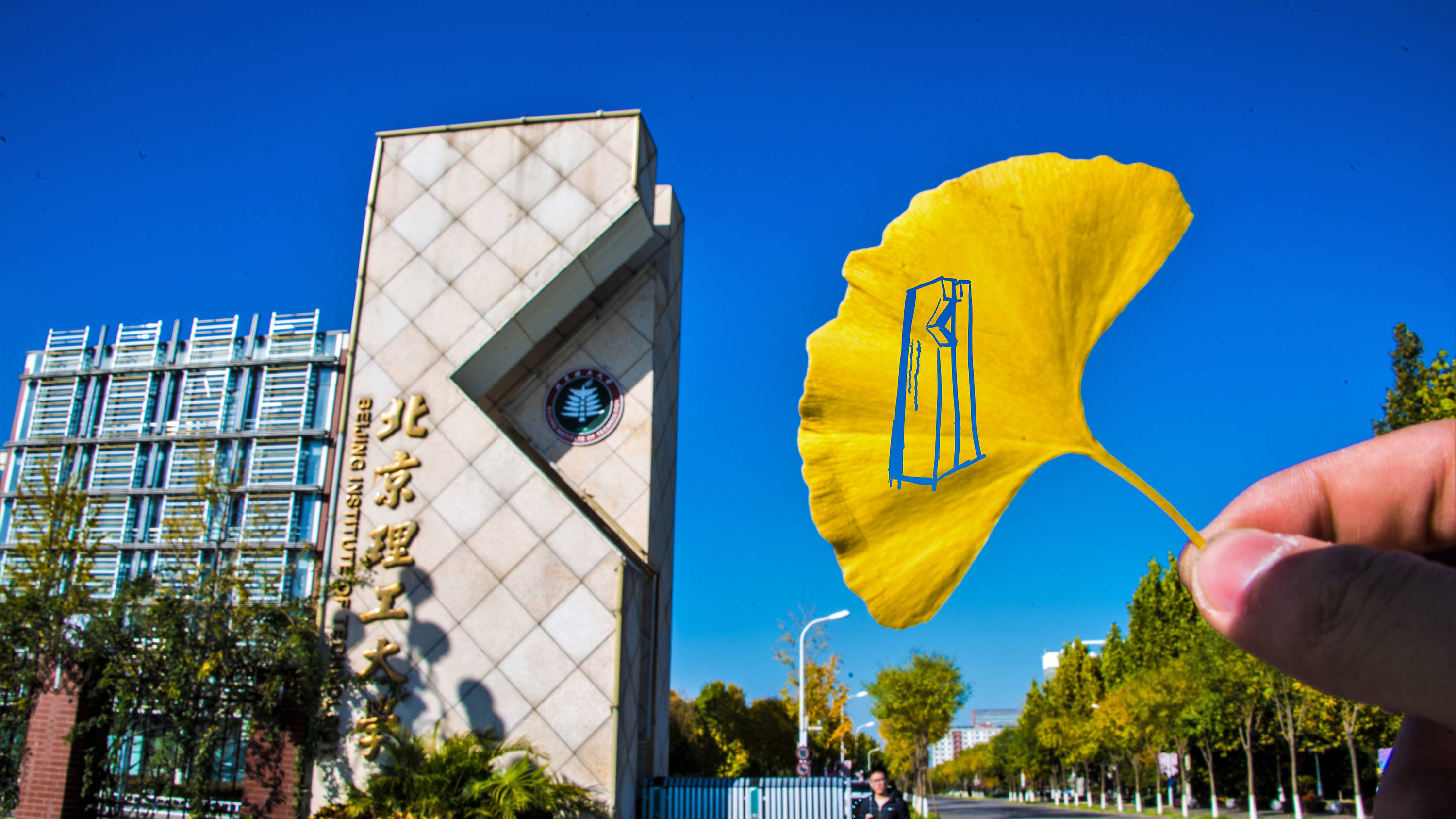 北京理工大学良乡校区和本部区别?