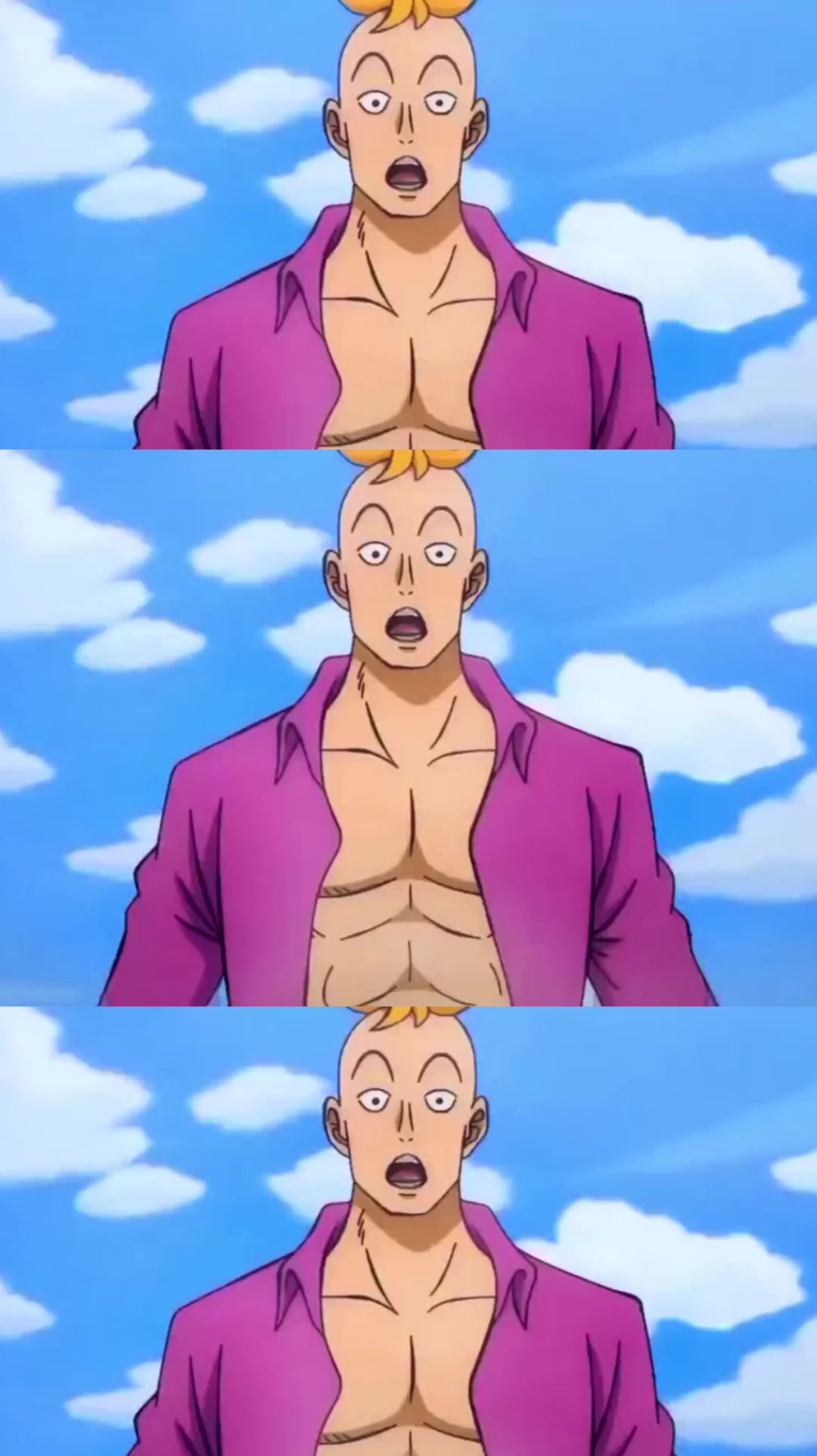 最强四皇的皇副最帅的菠萝头