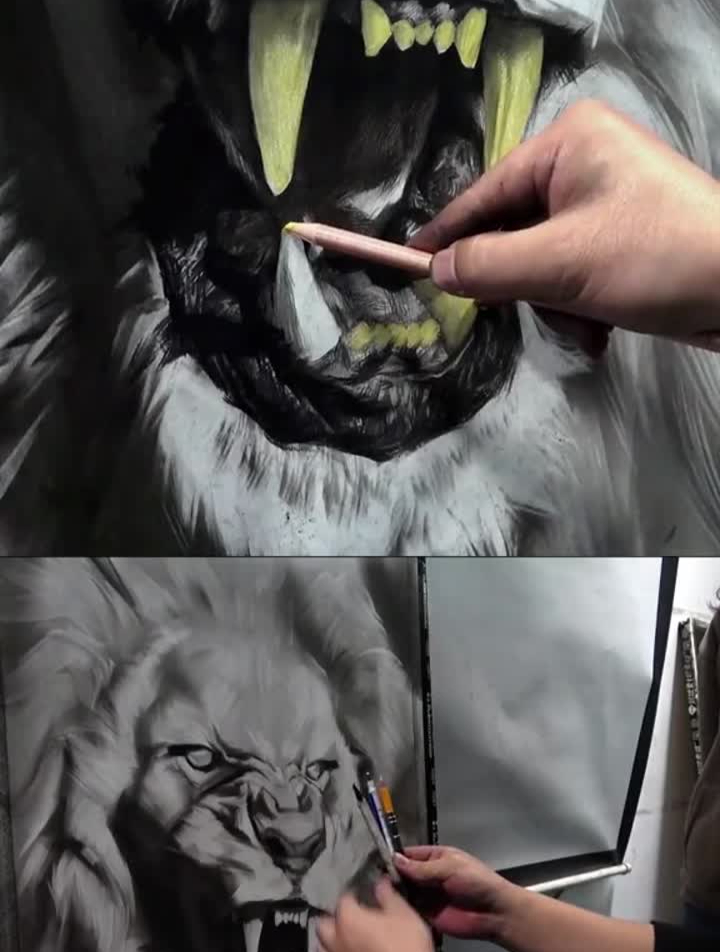 刘斌老师精微动物素描领画花絮1—狮子王画画这波操作稳了-度小视
