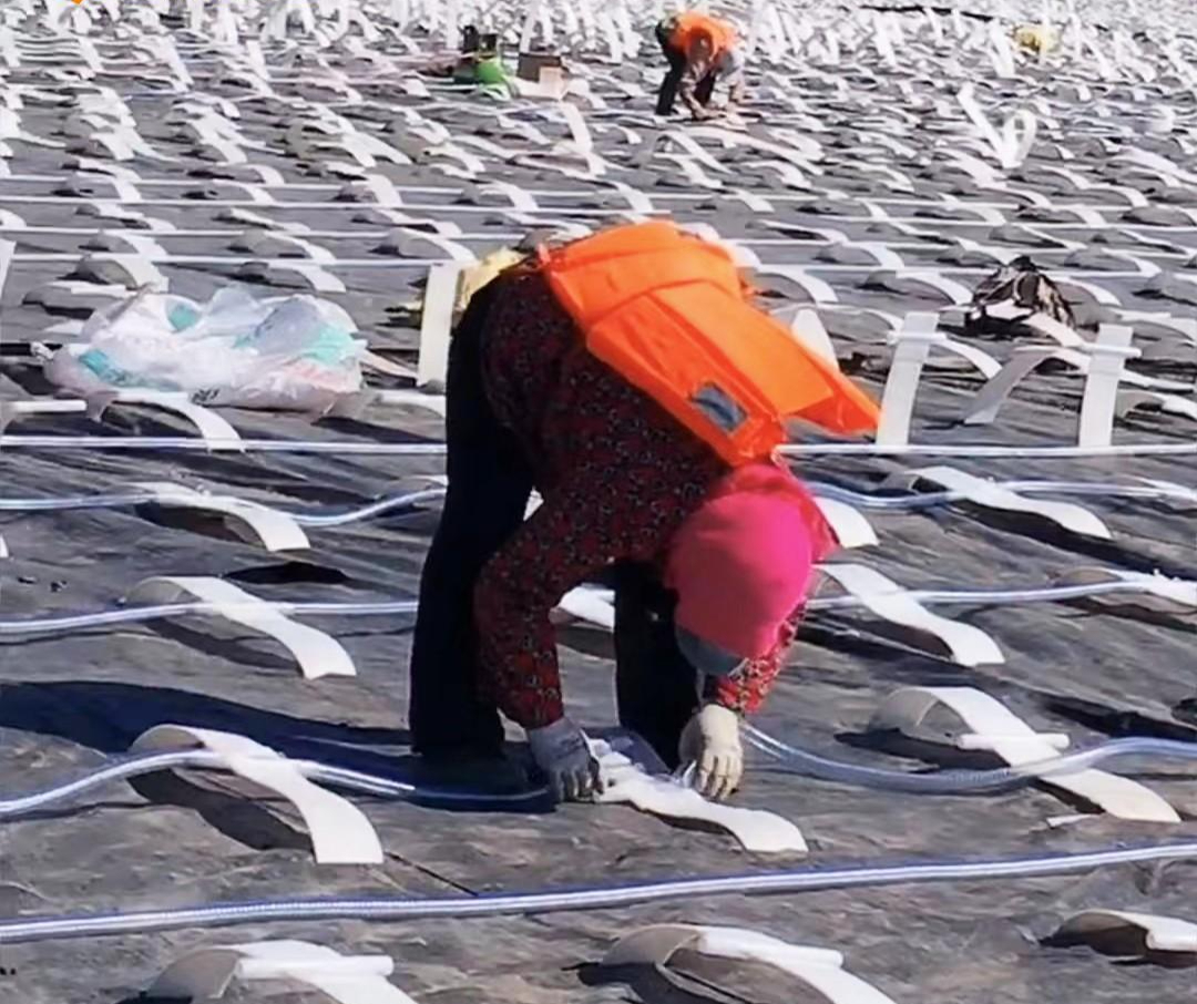 真空预压技术在地基处理中的应用与展望